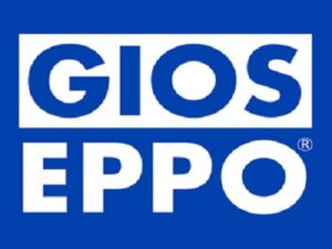 Gioseppo